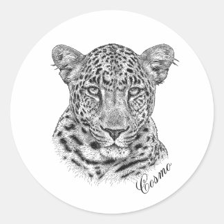 Stickers - Cosmo