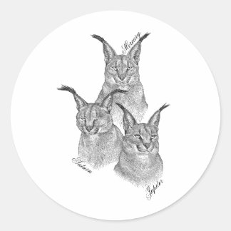 Stickers - die Planeten