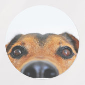 Stickers/etiquetas con imagenes de perritos etiketten (Design 2)