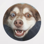 Stickers/etiquetas con imagenes de perritos etiketten (Design 1)