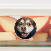 Stickers/etiquetas con imagenes de perritos etiketten (Befestigt)