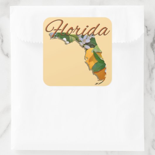 Stickers - FLORIDA (Tasche)