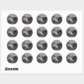 Stickers für Haustiere (Blatt)