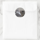 Stickers für Haustiere (Tasche)