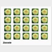 STICKERS Garden Lovely Bartzella Yellow Peony Foto (Blatt)