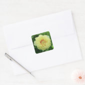 STICKERS Garden Lovely Bartzella Yellow Peony Foto (Umschlag)