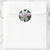 Stickers - Gardenia auf Streifen (Tasche)