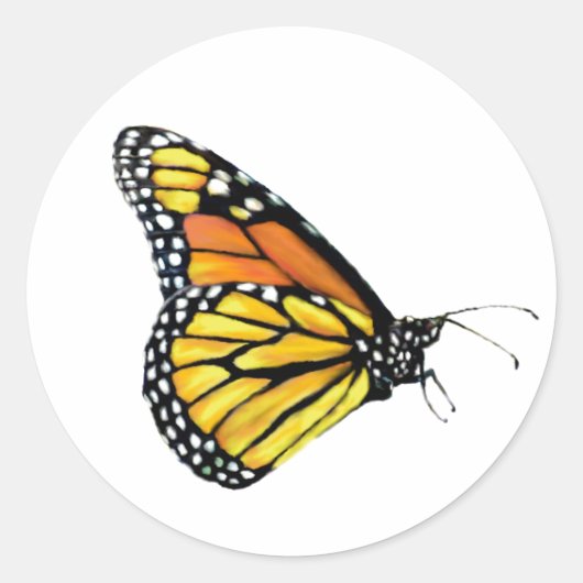 Stickers Monarch-Seitenansicht (Vorderseite)