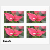 Stickers - Red Anthurium Twins (Blatt)