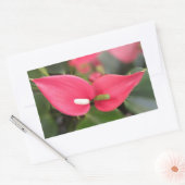 Stickers - Red Anthurium Twins (Umschlag)