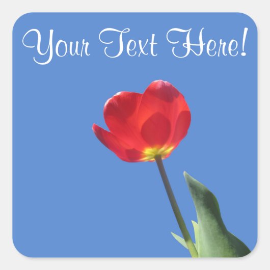 Stickers - Red Tulip Blue Sky 2 (Vorderseite)
