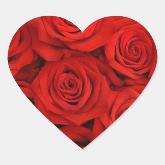 Stickers-Rote Rosen Herz-Aufkleber (Vorderseite)