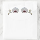 Stickers - Ruby-Lipped White Orchid (Tasche)