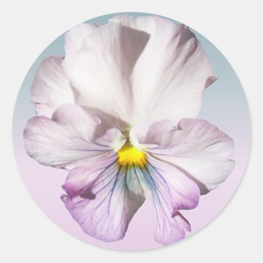 Stickers - Ruffled Lavender Pansy (Vorderseite)