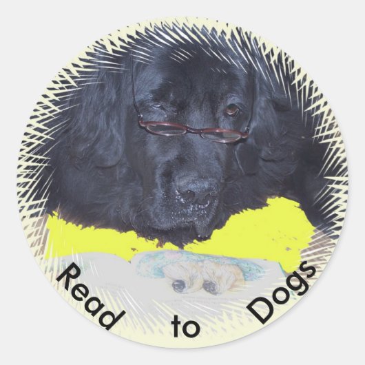 Stickers~ scherzt Therapie-Hundeprogramm Runder Aufkleber (Vorderseite)