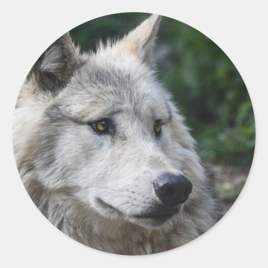 Stickerwolf Runder Aufkleber (Vorderseite)