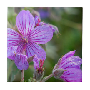 Stickige Wildblumen aus Geranium Fliese