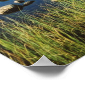 Stickle Tarn Sommerreflektionen, Lake District. Poster (Ecke)