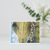 Stickle Tarn Sommerreflektionen, Lake District. Postkarte (Stehend Vorderseite)