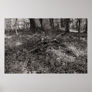 Sticks - Schwarz und Weiß warm Poster
