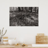 Sticks - Schwarz und Weiß warm Poster (Küche)