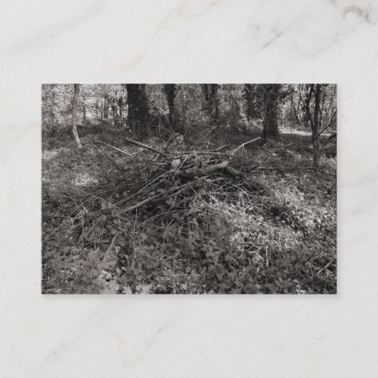 Sticks Visitenkarte (Vorderseite)