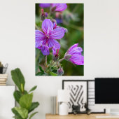 Sticky-Geranium-Wildblumen Poster (Heimbüro)