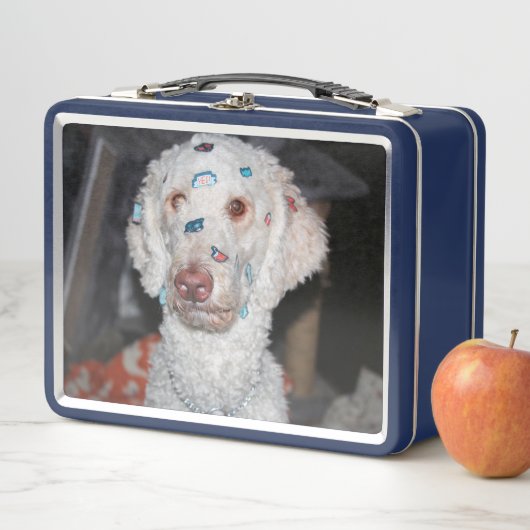 Sticky Poodle Metall Brotdose (Beispiel)