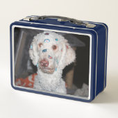 Sticky Poodle Metall Brotdose (Rückseite)