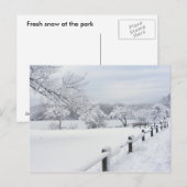 Sticky Snow 7 ~ Postkarte (Vorne/Hinten)