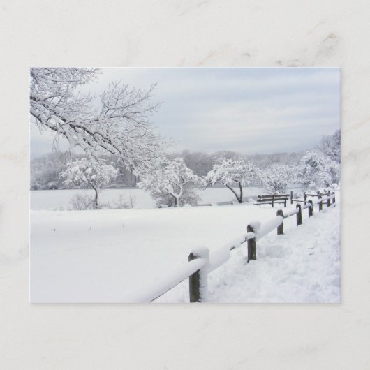Sticky Snow 7 ~ Postkarte (Vorderseite)