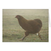 Stiefel im Nebel (Vorderseite (Horizontal))