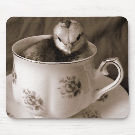 Stiefel in einem Teecup Mousepad (Vorne)