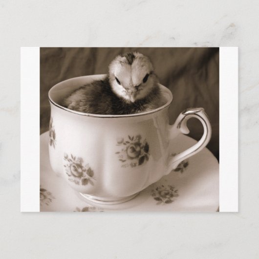 Stiefel in einem Teecup Postkarte (Vorderseite)