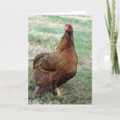 Stiefel Karte (Vorderseite)