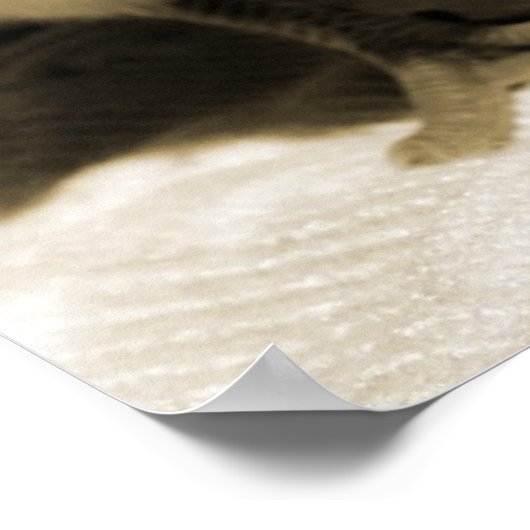 Stiefel Poster (Ecke)