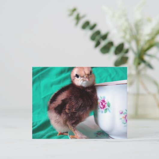 Stiefel Postkarte (Stehend Vorderseite)