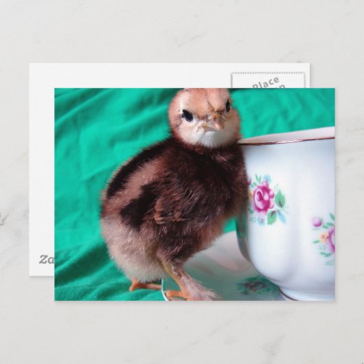 Stiefel Postkarte (Vorne/Hinten)