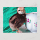 Stiefel Postkarte (Vorderseite)