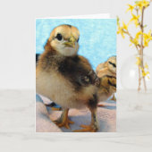 Stiefel und Freunde, Küken Karte (Gelbe Blume)