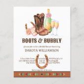 Stiefel und Western-Kugellagerbudget (Vorderseite)