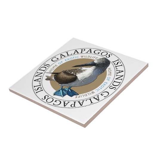 Stiefelkachel Fliese (Seite)