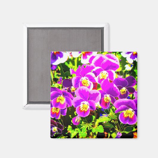 Stiefmütterchen_2006_Magnet Magnet (Vorderseite/Rückseite)