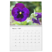 Stiefmütterchen 2016 Kalender-fertigt das Jahr Kalender (Feb 2027)