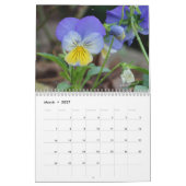 Stiefmütterchen 2016 Kalender-fertigt das Jahr Kalender (Mär 2027)