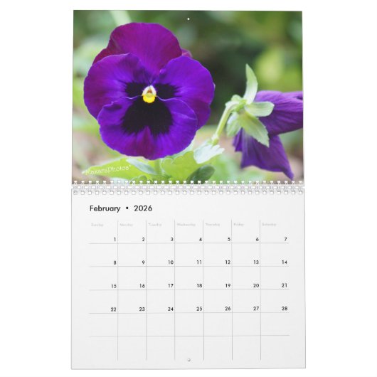 Stiefmütterchen 2016 Kalender-fertigt das Jahr Kalender (Feb 2026)