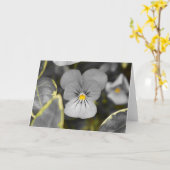 Stiefmütterchen / Abgeschiedene Farbe Karte (Gelbe Blume)