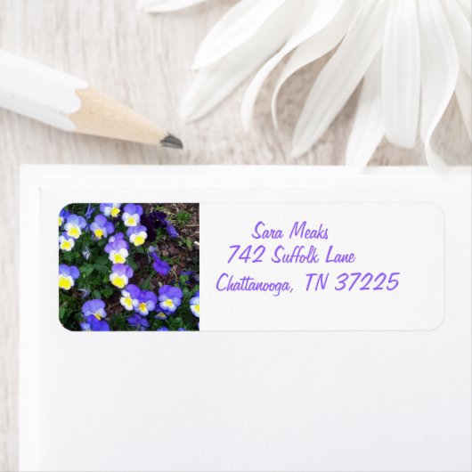 Stiefmütterchen auf Rücksendeadressen-Aufkleber (Insitu)