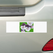 Stiefmütterchen Autoaufkleber (Auf Auto)