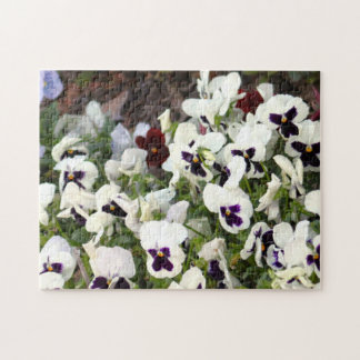 Stiefmütterchen Blumen Puzzle